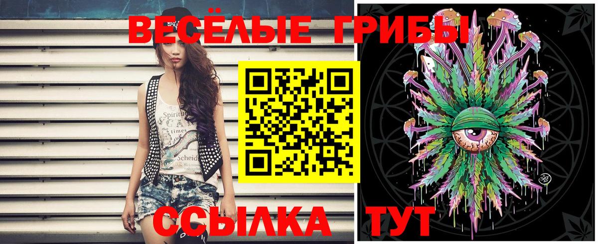 Галлюциногенные грибы Psilocybine cubensis  Вход с VPN  Урус-Мартан  Псилоцибиновые грибы мицелий 